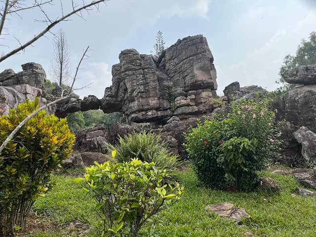 Rock Garden. - Image 1