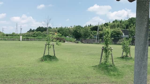 Rokuha Park Cherry-blossom Garden - Image 2