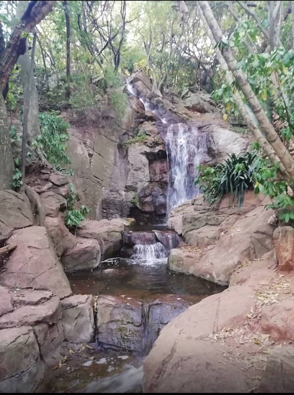 South African National Biodiversity Institute - Image 2