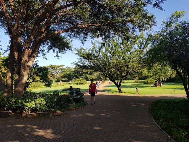 South African National Biodiversity Institute - Image 1