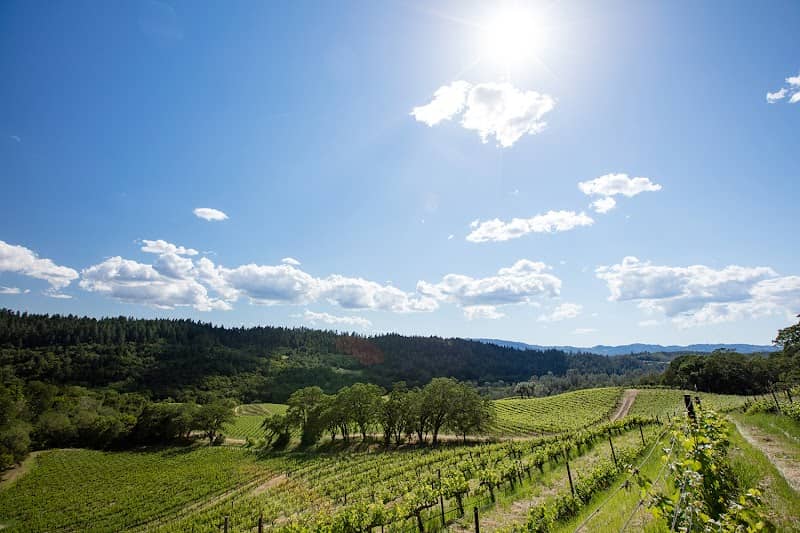 Aonair Winery & Caves - Image 1