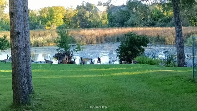 Waterfront Trail - Image 2