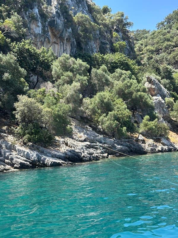 Merdivenli Koyu - Image 1