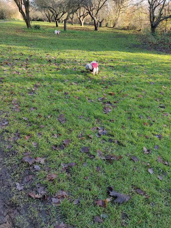 Monks Meadow - Image 1