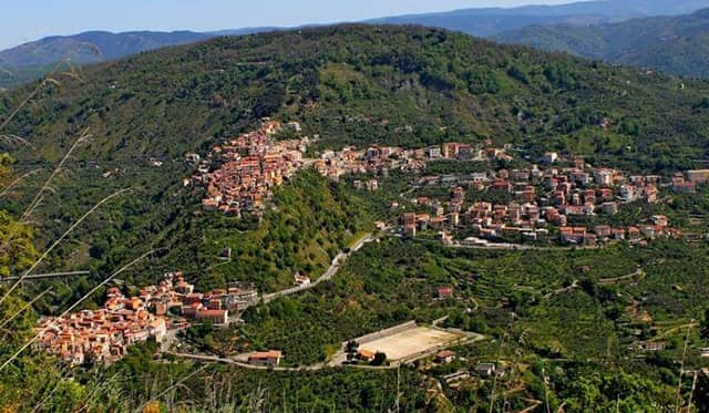 bosco Panoramico (u Munte) - Image 1