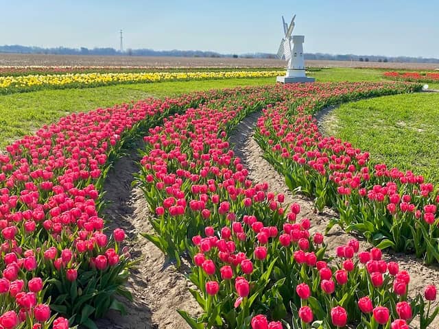 Exploration Acres - Image 1