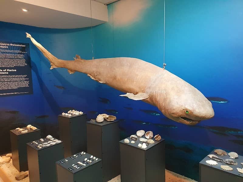 Cyprus Museum of Natural History - Image 1