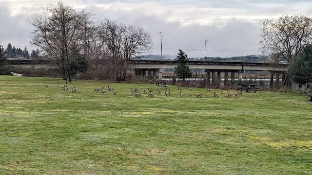 Riverfront Park - Image 1