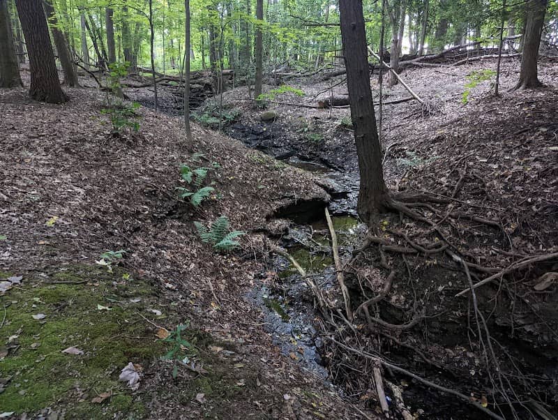 Alexander Road Trailhead - Image 1