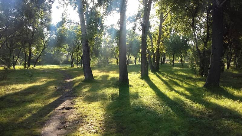 Park Komsomol'skiy - Image 1