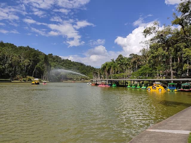 Parque Malwee - Image 1