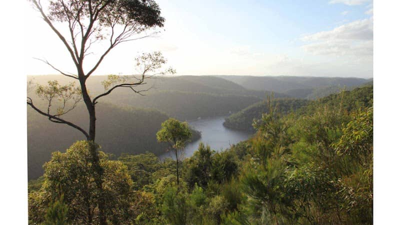 Berowra Valley National Park - Image 1