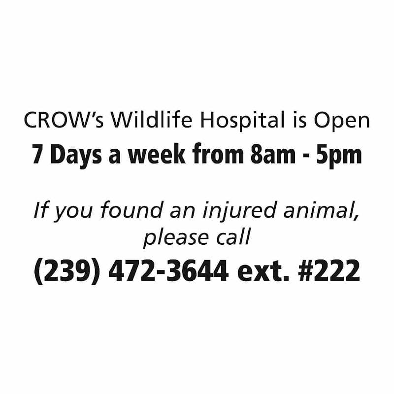Clinic for the Rehabilitation of Wildlife (CROW) - Visitor Education Center - Image 1