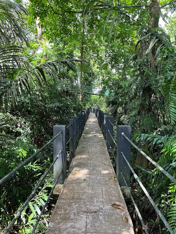 Air Itam Recreation Forest - Image 1