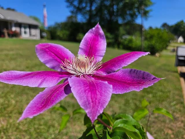 Cedar Grove Park - Image 2
