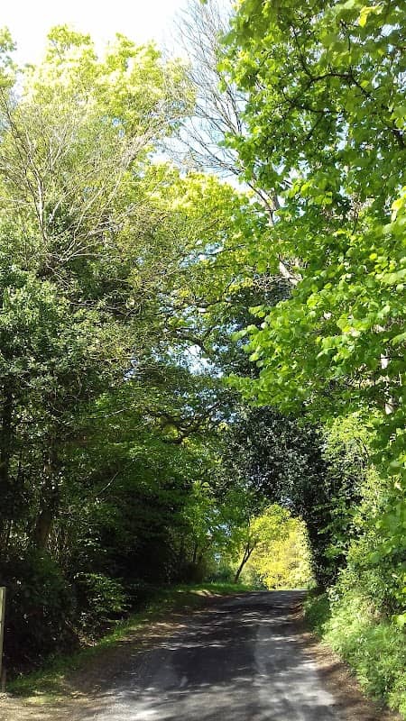 Upper Bucklebury Green - Image 2