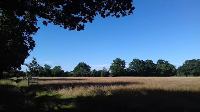 Upper Bucklebury Green - Image 1
