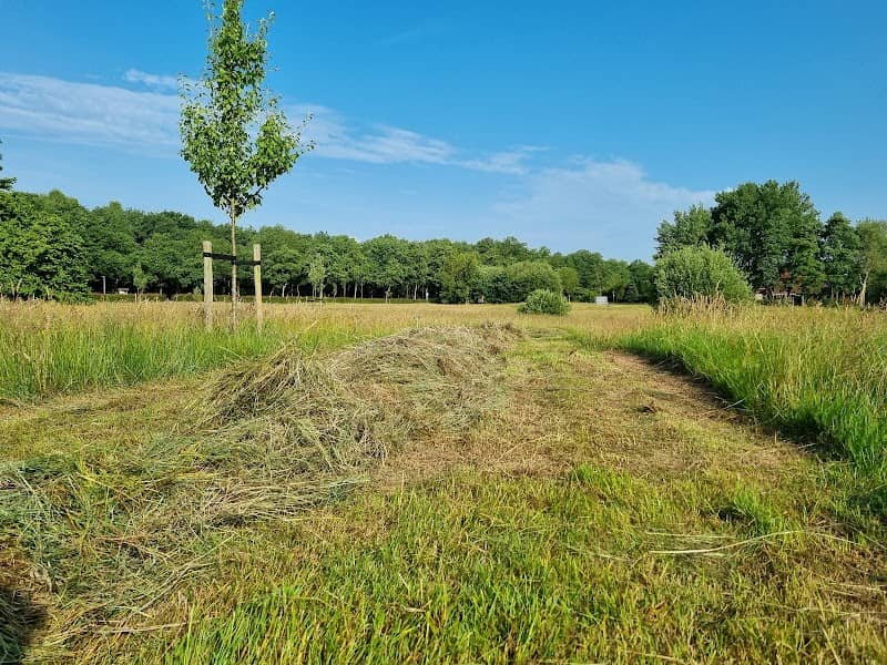 Boomgaard Peelo - Image 2