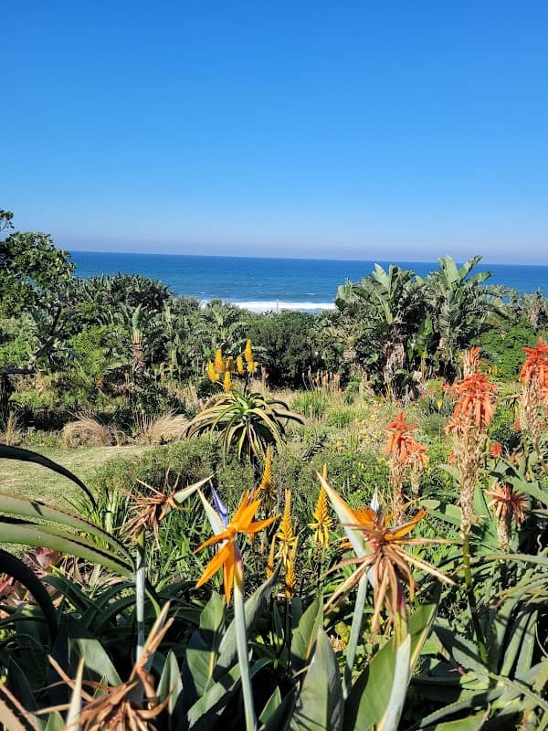 Shangrila beach house - Image 1