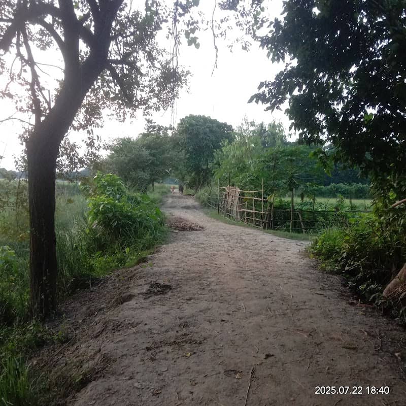 তিন রাস্তার মোড় গাঁয়ের চক - Image 2