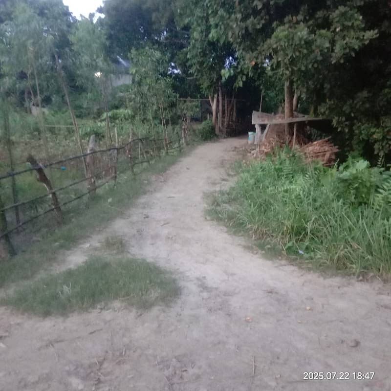 তিন রাস্তার মোড় গাঁয়ের চক - Image 1