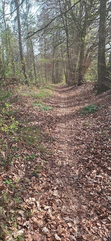 Römer und Keltenweg - Image 1