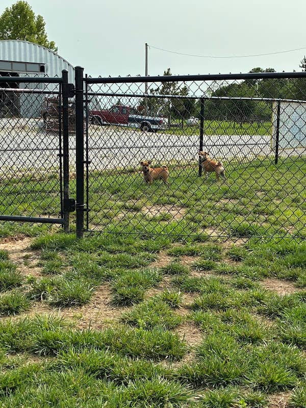 Dog Park at Love's Travel Stops - Image 1