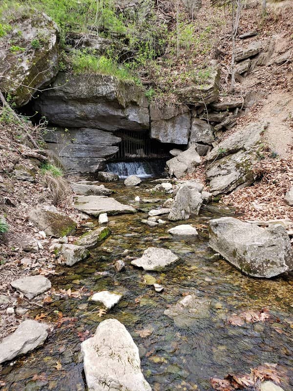 Trailhead Blowing Springs Back 40 - Image 3