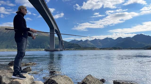 Scenic Bridge Viewpoint - Image 2