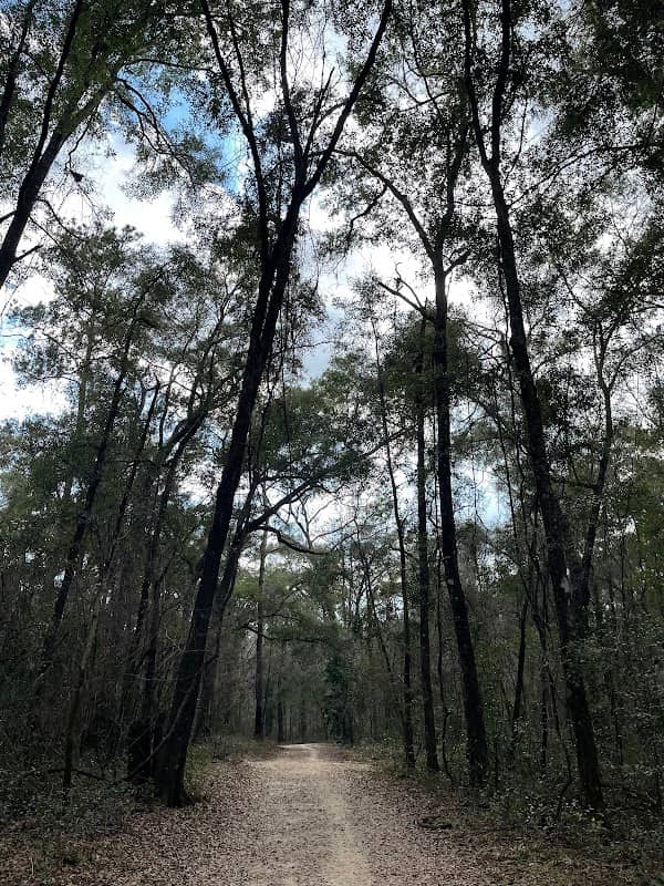 Miccosukee Greenway Thornton Rd Trailhead - Image 2