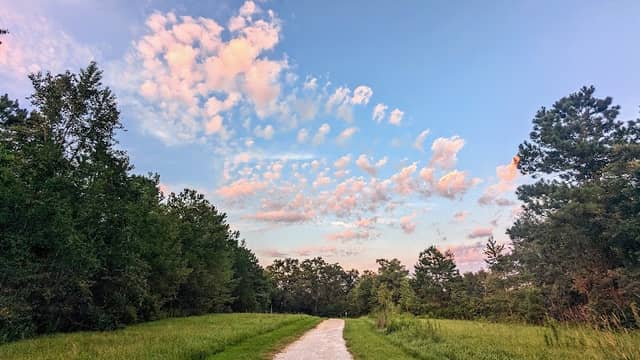 Miccosukee Greenway Thornton Rd Trailhead - Image 1