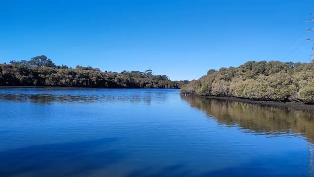 Salt Pan Creek Reserve - Image 3