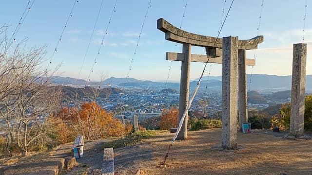 イノセントツリー - Image 1