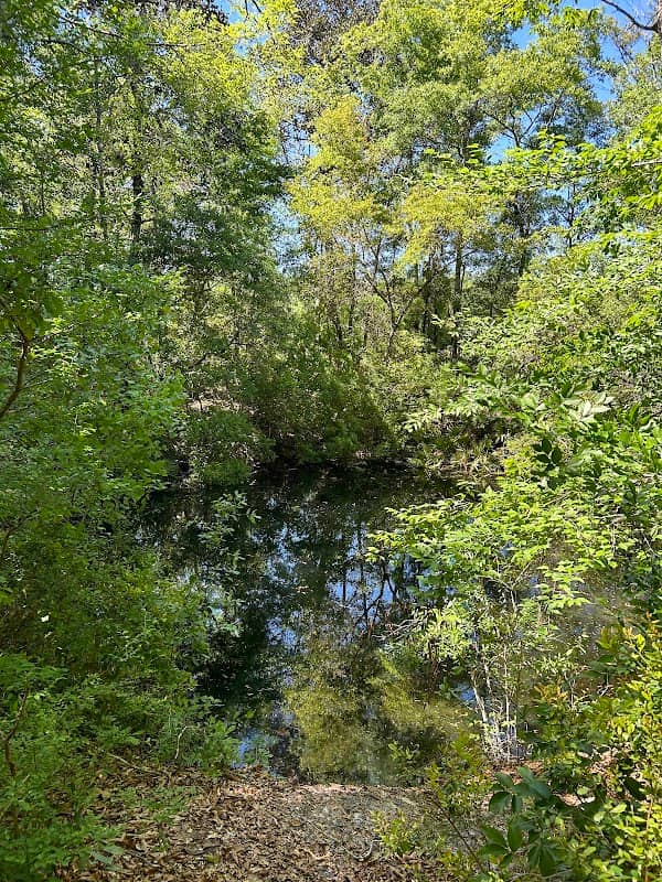 E. Guy Revell, Jr., Nature Trail Conservation Area - Image 2