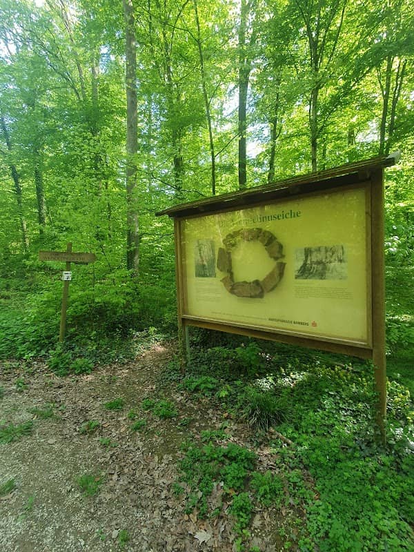 Wendelinuseiche - Image 1