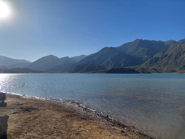Bosque Hundido - Image 1