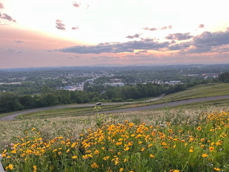 Sunset Park - Image 1