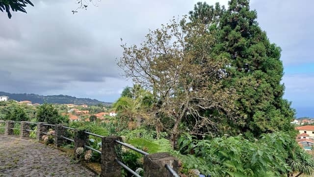Miradouro do Pico de Santana - Image 1