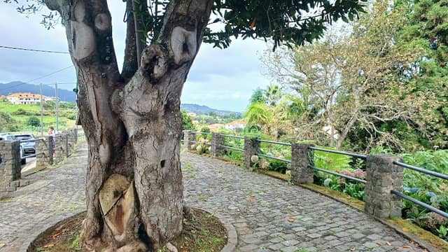 Miradouro do Pico de Santana - Image 3
