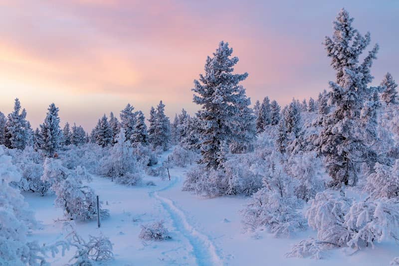 Urho Kekkonen National Park - Image 3