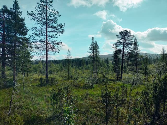 Urho Kekkonen National Park - Image 1
