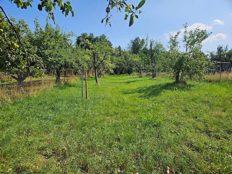 NABU Streuobstwiese Wingertsberg - Image 1