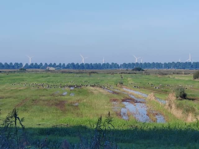 De Bunt - Image 1