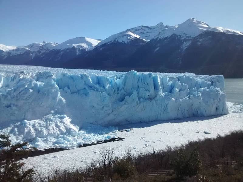 Calafate - Image 3