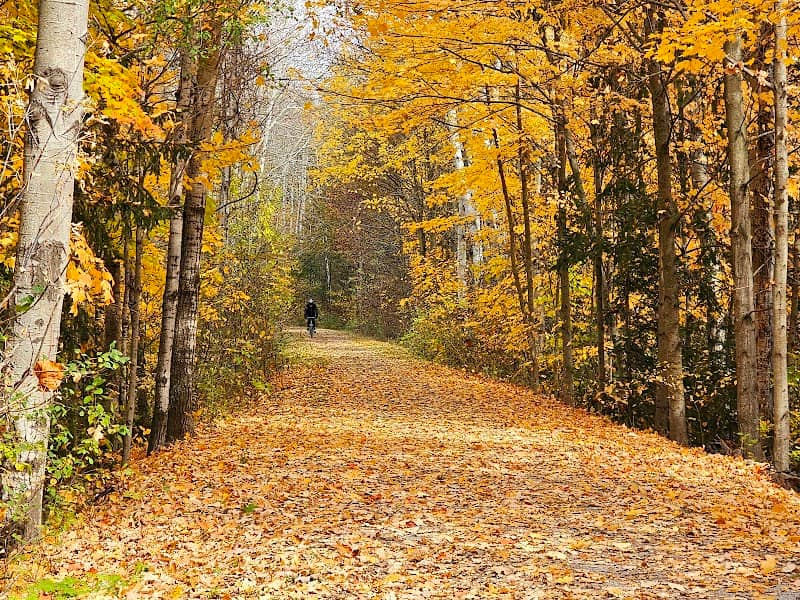 Caledon rail trail and Dixie - Image 1