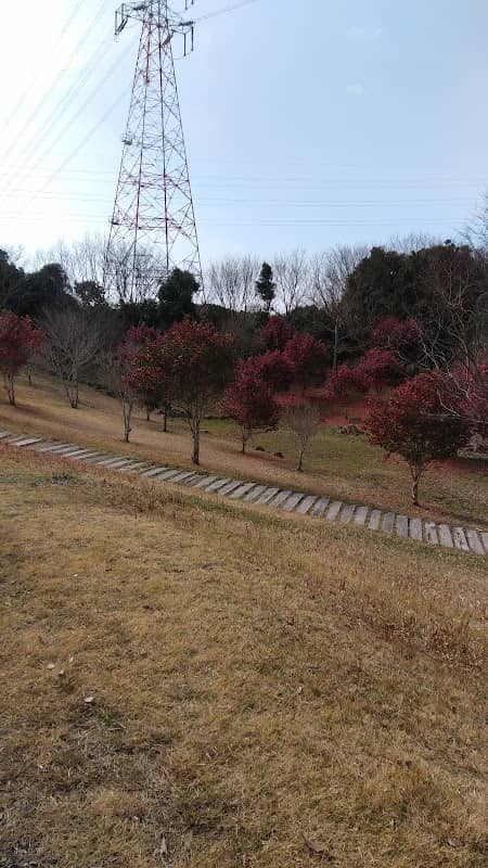Ariho Ryokuchi Park - Image 1