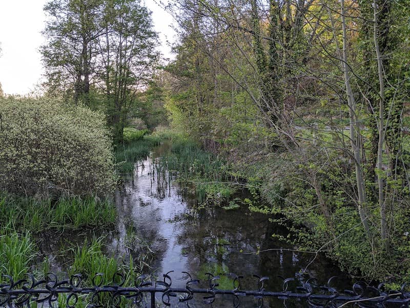 Singlers Marsh - Image 2