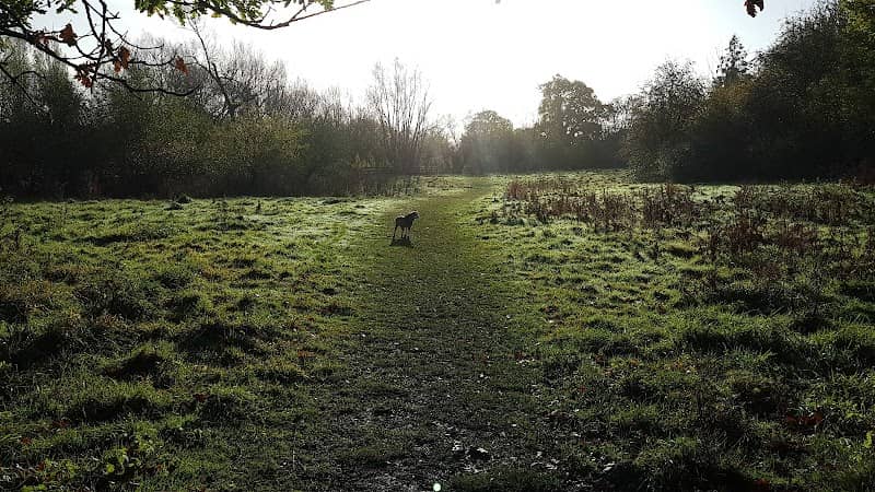 Singlers Marsh - Image 1