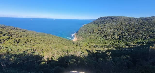 Palm Jungle loop track - Image 1