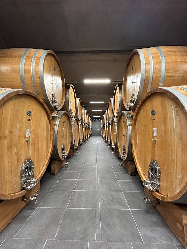 Cantina Terre del Barolo - Image 1